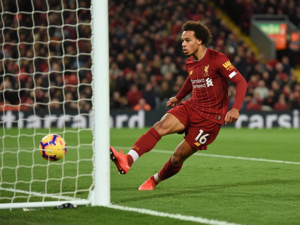 伺的国际赛 伺的国际赛